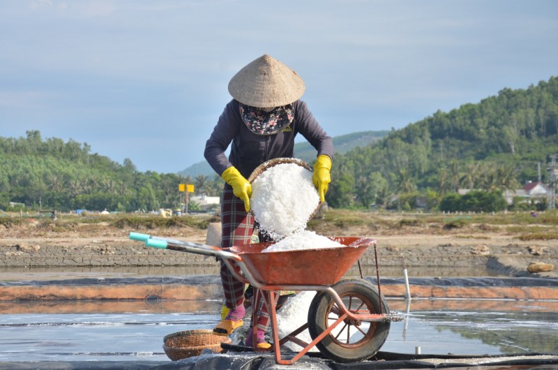 Muối “cháy” hàng, giá muối tăng cao kỷ lục